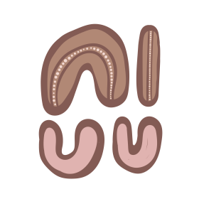 Marrickville Womens Refuge Ltd