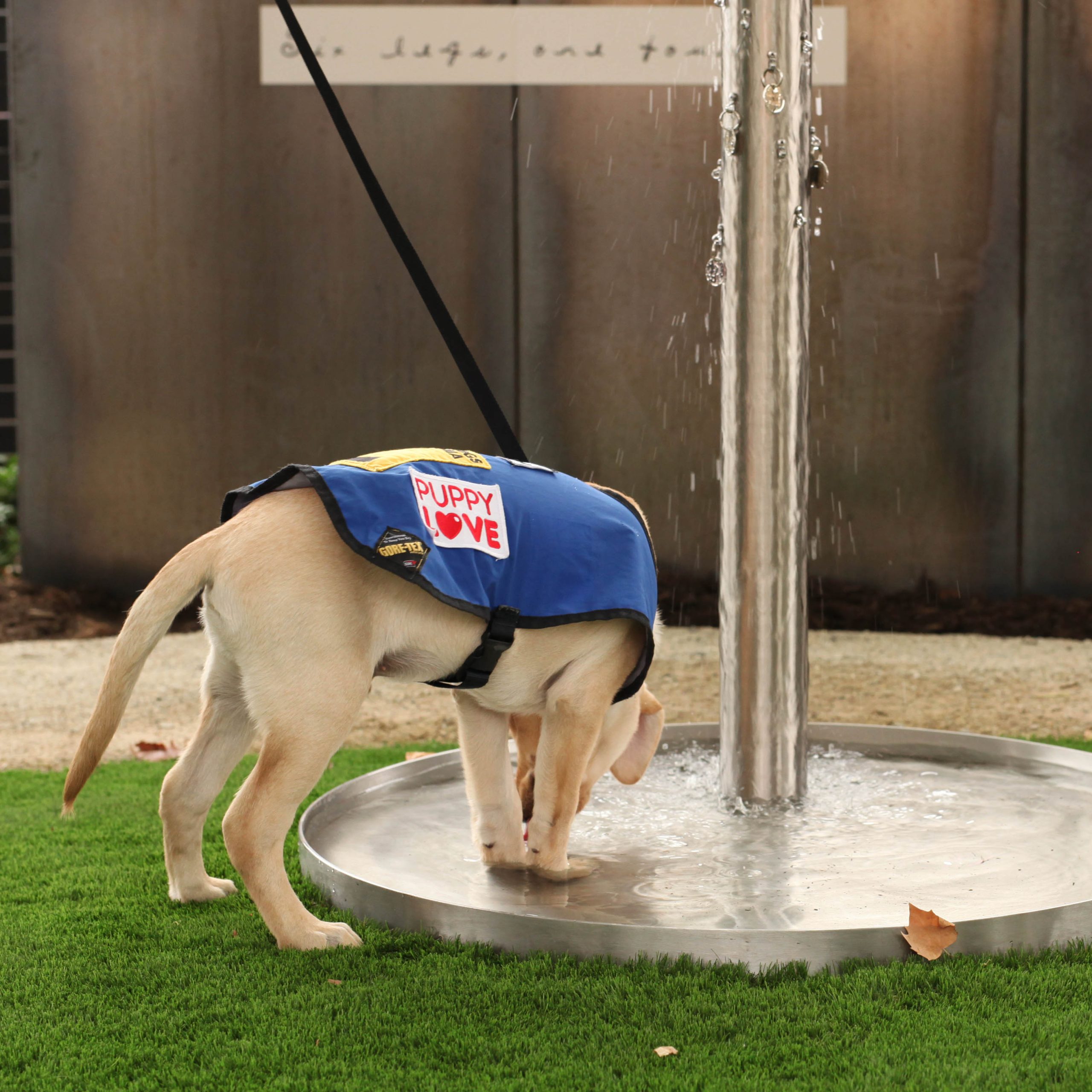 Tasmanian Leaders Foundation Limited