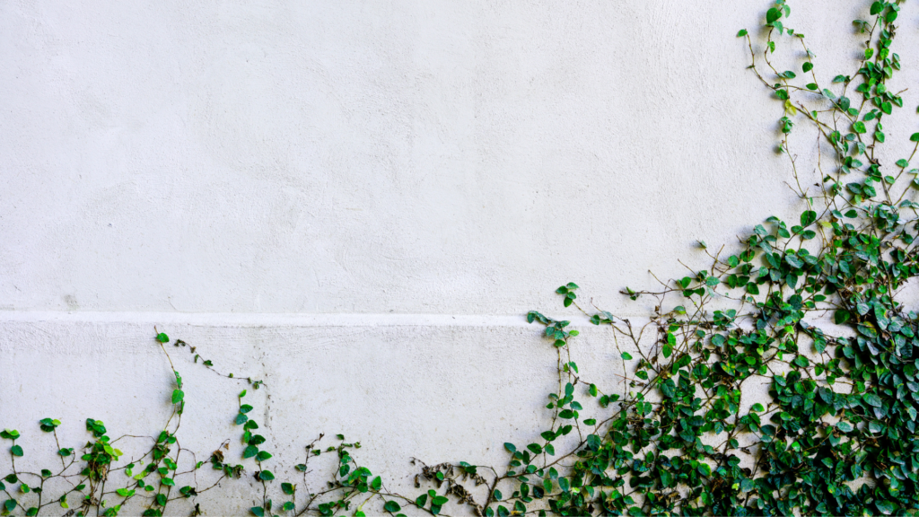 St Mark’s Anglican Church Berowra