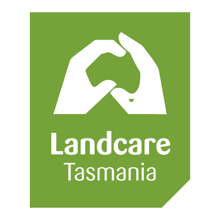 Penguin Rehab and Release