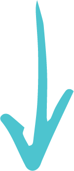 CAPE YORK INSTITUTE FOR POLICY AND LEADERSHIP LTD