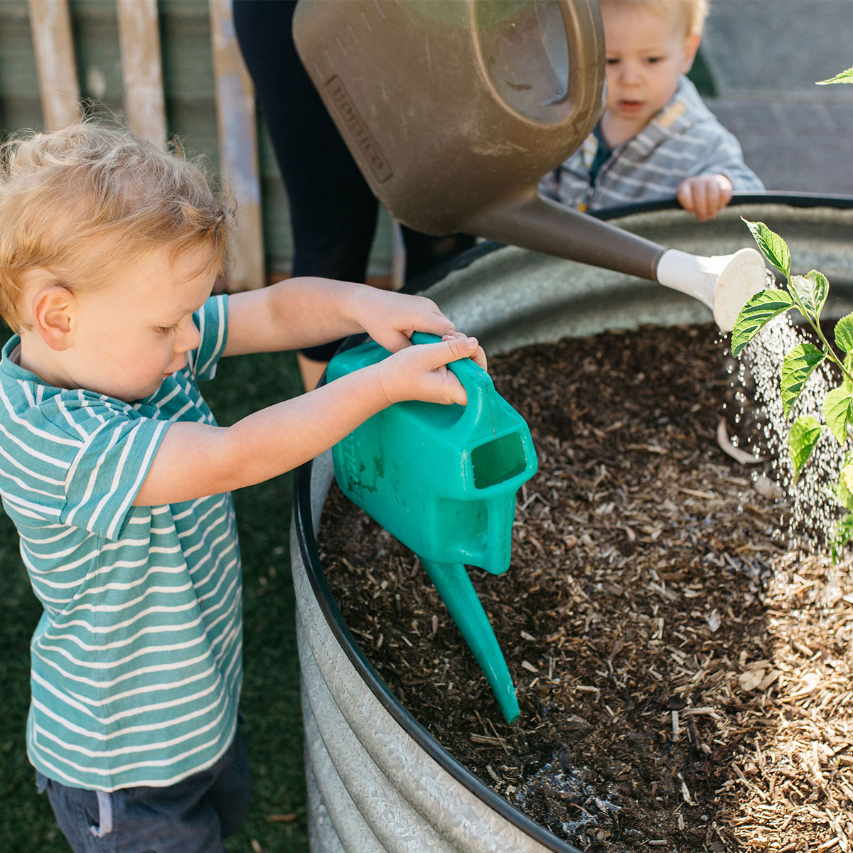 Camden Park Child Care Centre