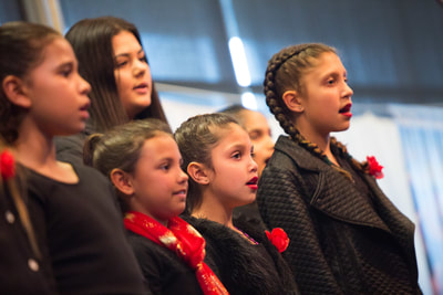 Kaiela Institute Limited