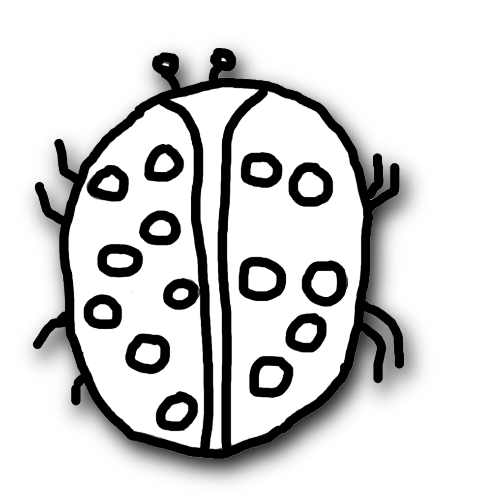 Highfields Preparatory & Kindergarten School Limited