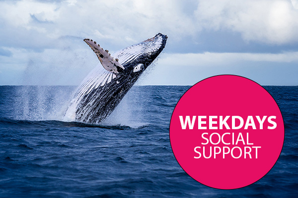 Interchange Illawarra